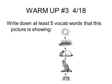 WARM UP #3 4/18 Write down at least 5 vocab words that this picture is showing: