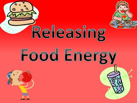 Releasing Food Energy.