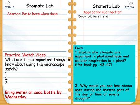 19 9/8/14 20 Stomata Lab Draw picture here: Practice: Watch Video What are three important things to know about using the microscope safely? 1. 2. 3. Bring.