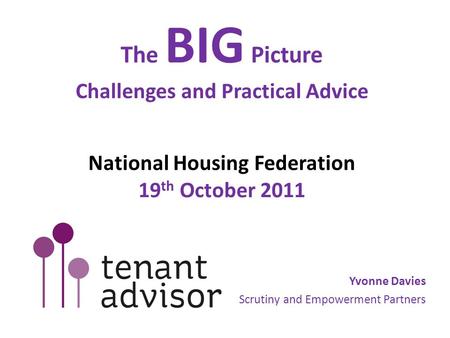 The BIG Picture Challenges and Practical Advice National Housing Federation 19 th October 2011 Yvonne Davies Scrutiny and Empowerment Partners.