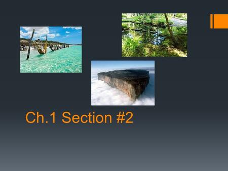 Ch.1 Section #2. Uniqueness of Place Place (a point on Earth): Unique Location of a Feature Four ways to identify location:  - Place Names  - Site 