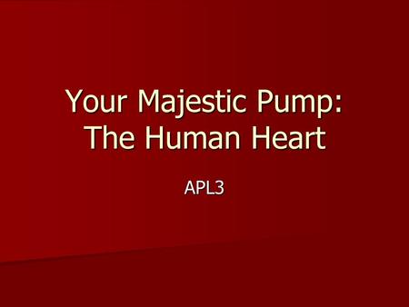 Your Majestic Pump: The Human Heart