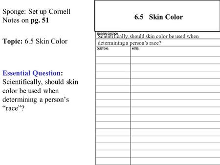 Sponge: Set up Cornell Notes on pg. 51 Topic: 6.5 Skin Color Essential Question: Scientifically, should skin color be used when determining a person’s.