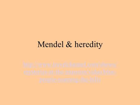 Mendel & heredity  mysteries-at-the-museum/video/blue- people-roaming-the-hills.