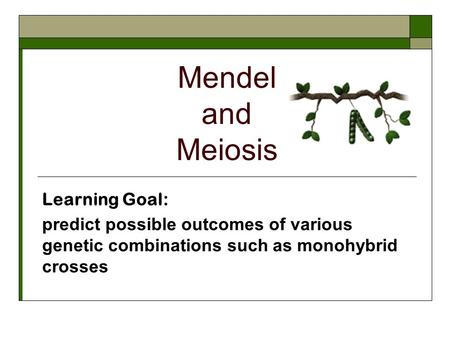 Mendel and Meiosis Learning Goal: predict possible outcomes of various genetic combinations such as monohybrid crosses.