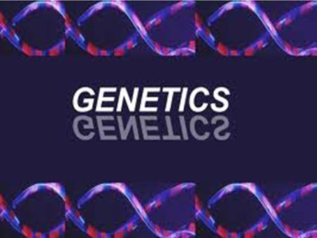 GENETICS Medelian Genetics Gregor Mendel 1800’s.