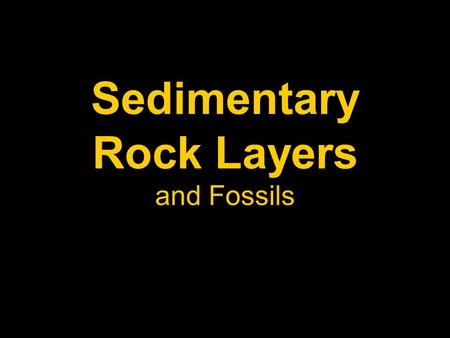 Sedimentary Rock Layers and Fossils. Fault Near Parhump, Nevada April, 1978.