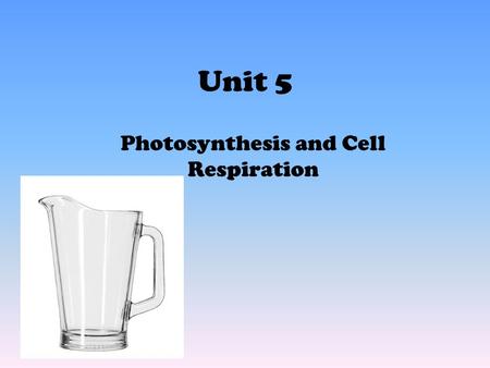 Unit 5 Photosynthesis and Cell Respiration. 1. Where in the leaves does photosynthesis occur? Cell.
