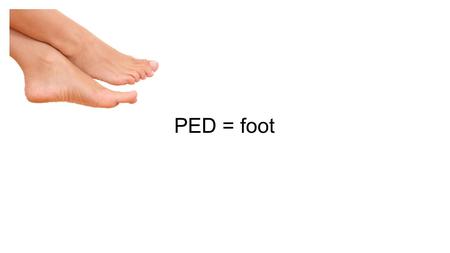 PED = foot. 1. Biped (n) – a creature with two feet.