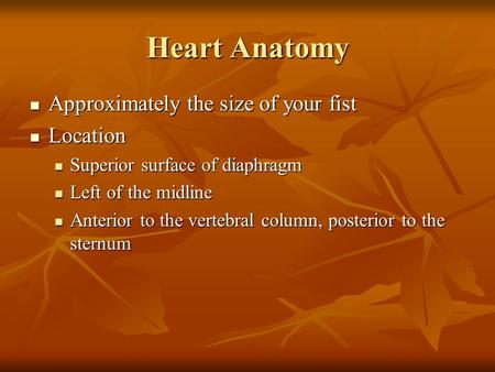 Heart Anatomy Approximately the size of your fist Approximately the size of your fist Location Location Superior surface of diaphragm Superior surface.