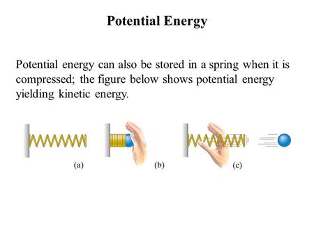Potential Energy Potential energy can also be stored in a spring when it is compressed; the figure below shows potential energy yielding kinetic energy.