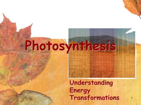 1 Photosynthesis Understanding Energy Transformations.