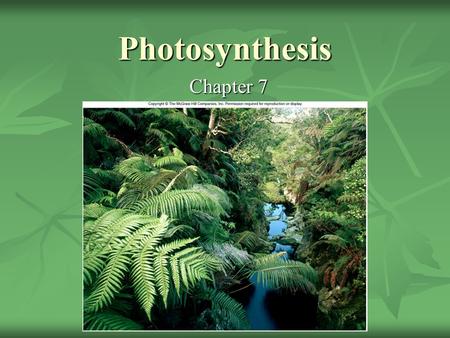 Photosynthesis Chapter 7. We depend on the solar energy of a star 93 million miles away—our Sun! We depend on the solar energy of a star 93 million miles.