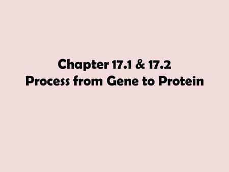 Chapter 17.1 & 17.2 Process from Gene to Protein.