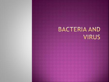 Bacteria and Virus.