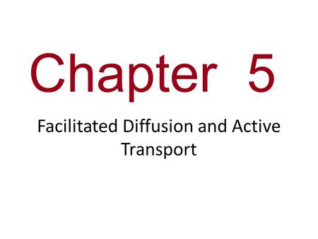 Facilitated Diffusion and Active Transport