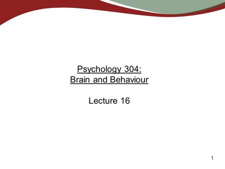 1 Psychology 304: Brain and Behaviour Lecture 16.
