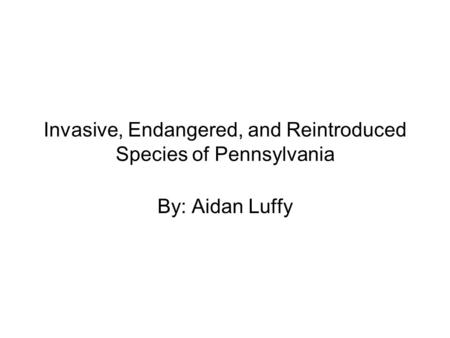 Invasive, Endangered, and Reintroduced Species of Pennsylvania By: Aidan Luffy.