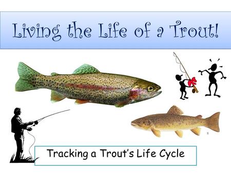 Living the Life of a Trout!