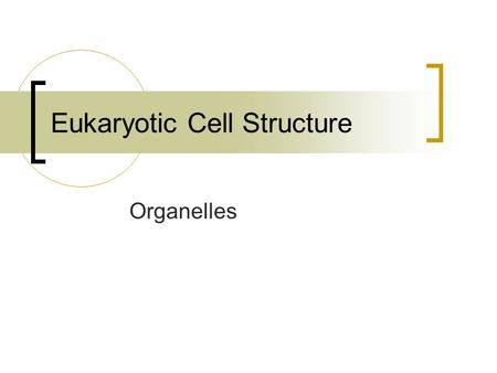 Eukaryotic Cell Structure Organelles. Eukaryotic Cell Structure Eukaryotic cells contain many structures that act as specialized organs known as organelles.