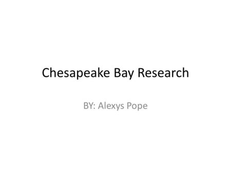 Chesapeake Bay Research BY: Alexys Pope. Why is it important to have a variety of animals in the Bay? It is important to have a variety of living things.