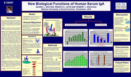 Abstract Human IgA does not effectively activate the Classical Complement Pathway in undiluted serum. However, serum IgA and IgG antibodies do co-deposit.