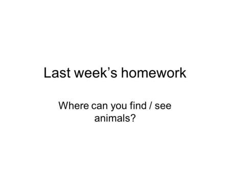 Last week’s homework Where can you find / see animals?