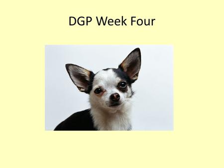 DGP Week Four. Monday DGP Directions: Identify each word as a noun, pronoun, verb, adverb, adjective, preposition, conjunction, interjection, article.
