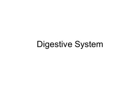 Digestive System. Background Information Total length: 8-9 meters and 2/3 of this is the small intestine.