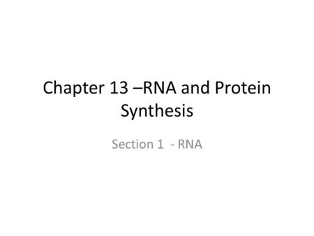 Chapter 13 –RNA and Protein Synthesis