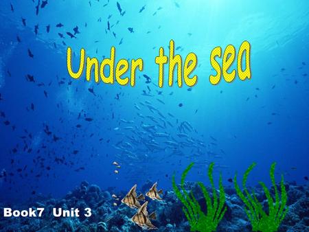 Under the sea Unit 3 Book7 Unit 3.
