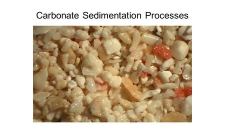 Carbonate Sedimentation Processes. The shallow marine “carbonate factory” differs from siliciclastic sedimentation in several fundamental ways: 1.Clastics.