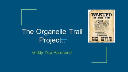 The Organelle Trail Project..