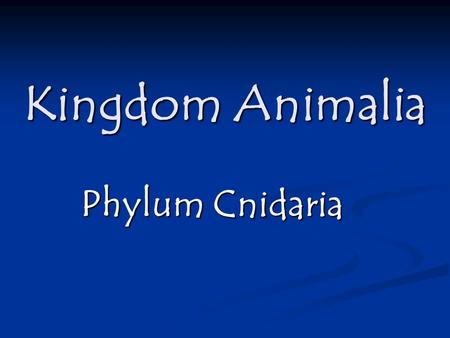 Kingdom Animalia Phylum Cnidaria. Characteristics Radial symmetry Diploblastic organization, 2 official tissue layers Gelatinous Mesoglea Gastrovascular.