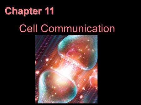 Chapter 11 Cell Communication. Overview: The Cellular Internet Cell-to-cell communication is essential for multicellular organisms Biologists have discovered.