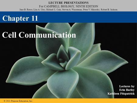 LECTURE PRESENTATIONS For CAMPBELL BIOLOGY, NINTH EDITION Jane B. Reece, Lisa A. Urry, Michael L. Cain, Steven A. Wasserman, Peter V. Minorsky, Robert.