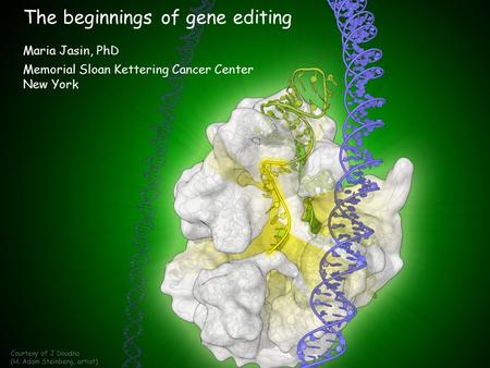 The beginnings of gene editing