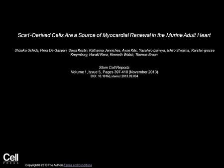 Sca1-Derived Cells Are a Source of Myocardial Renewal in the Murine Adult Heart Shizuka Uchida, Piera De Gaspari, Sawa Kostin, Katharina Jenniches, Ayse.