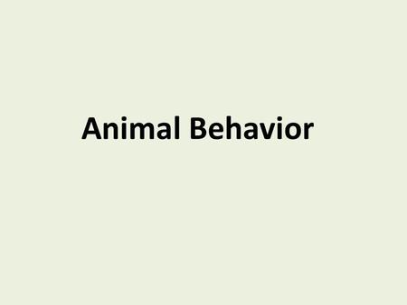 Animal Behavior. Types of Behavior Automatic Response Innate Behavior/Instinct Learned Behavior.