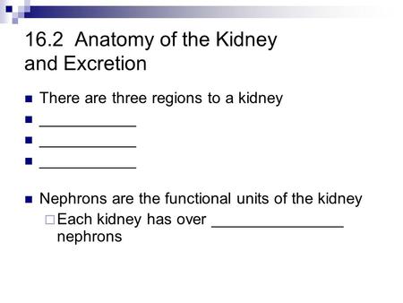 16.2 Anatomy of the Kidney and Excretion There are three regions to a kidney ___________ Nephrons are the functional units of the kidney  Each kidney.