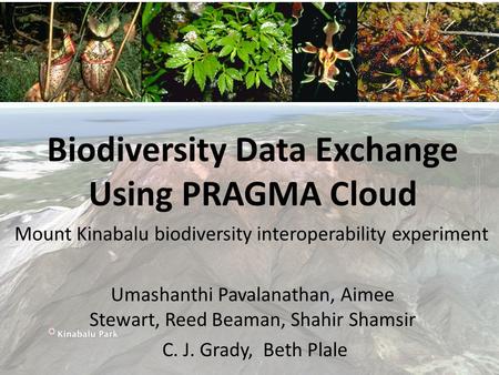 Biodiversity Data Exchange Using PRAGMA Cloud Umashanthi Pavalanathan, Aimee Stewart, Reed Beaman, Shahir Shamsir C. J. Grady, Beth Plale Mount Kinabalu.