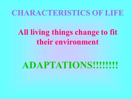 CHARACTERISTICS OF LIFE All living things change to fit their environment ADAPTATIONS!!!!!!!!