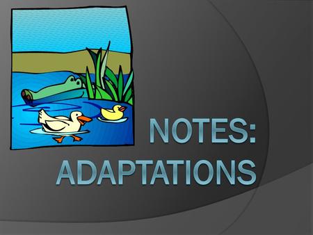 Adaptation  A change in a species that helps it to survive and reproduce in its environment (habitat)