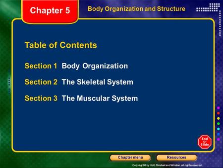 Chapter 5 Table of Contents Section 1 Body Organization