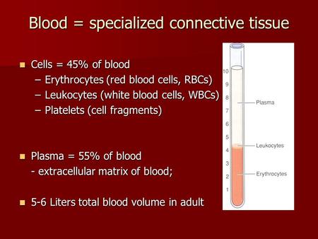 Blood = specialized connective tissue