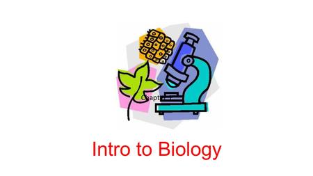 Intro to Biology Chapter 1. What makes something ALIVE? Brainstorm ideas. Read about it.