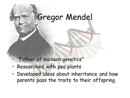 Gregor Mendel “Father of modern genetics” Researched with pea plants Developed ideas about inheritance and how parents pass the traits to their offspring.