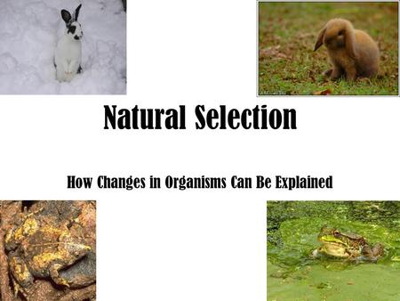 Natural Selection How Changes in Organisms Can Be Explained.