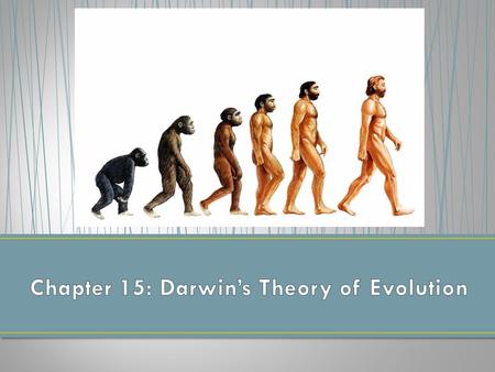 Chapter 15: Darwin’s Theory of Evolution