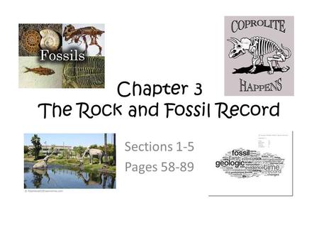 Chapter 3 The Rock and Fossil Record Sections 1-5 Pages 58-89.
